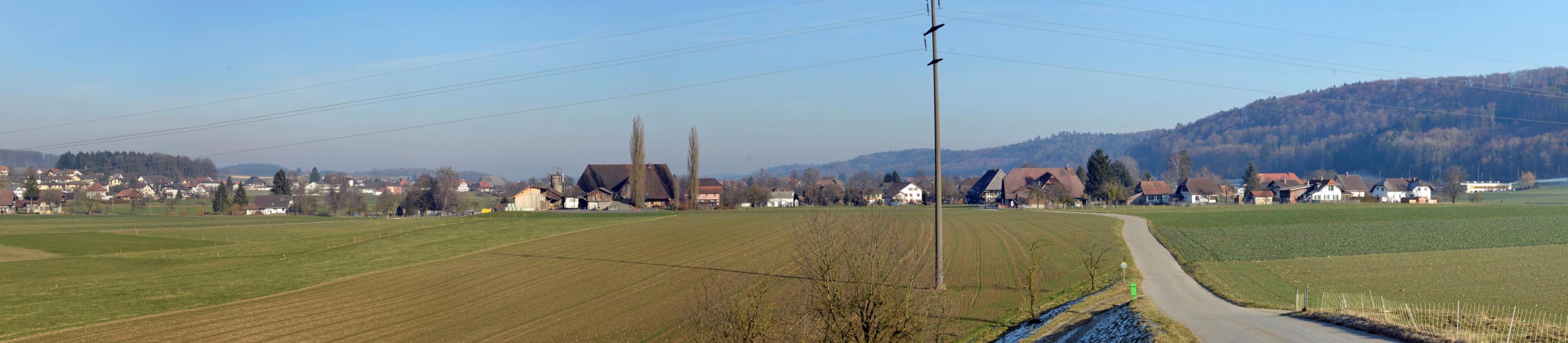 Panorama